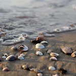 Peaceful On The Coast Of *