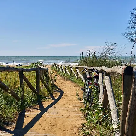 Peaceful On The Coast Of *