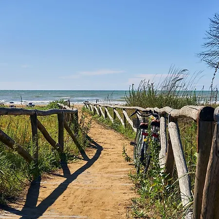 Peaceful On The Coast Of