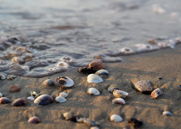 Peaceful On The Coast Of *